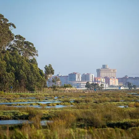 Casa D'oliveira Bed and breakfast Aveiro