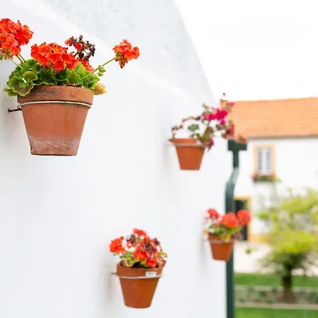 Casa D'oliveira 4* 阿威罗