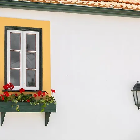 Casa D'oliveira 阿威罗