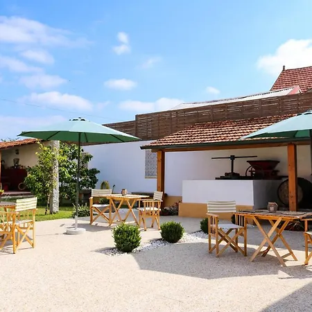 Bed & Breakfast Casa D'oliveira