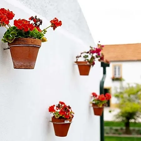 Frühstückspension Casa D'oliveira 4*