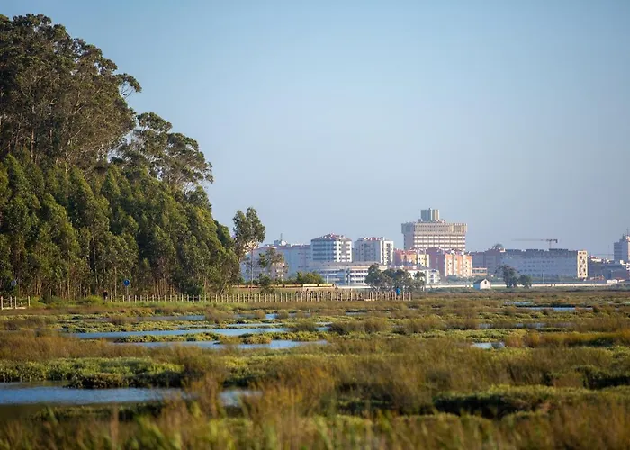 Casa D'oliveira Frühstückspension Aveiro