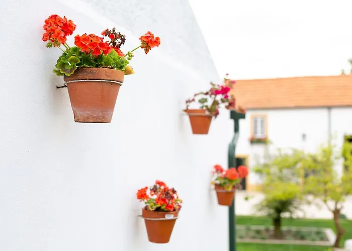 Casa D'oliveira 4* Aveiro