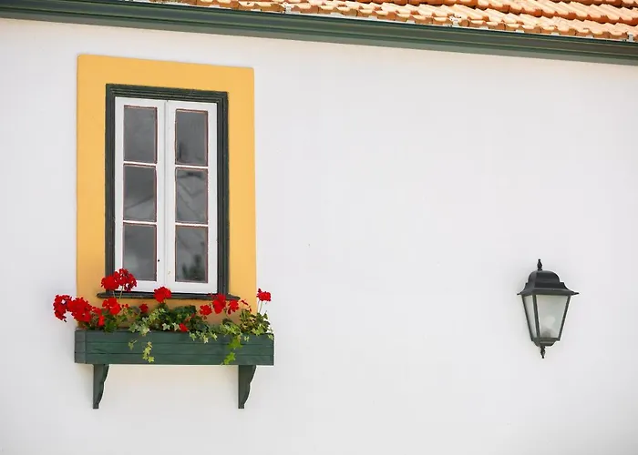 Casa D'oliveira Aveiro